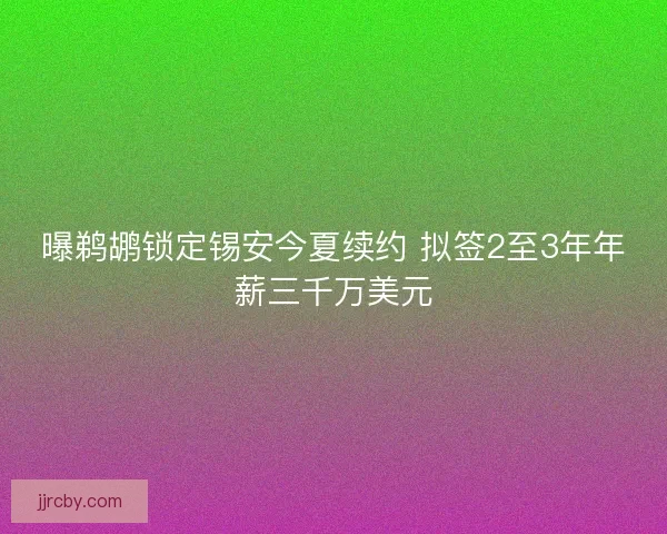 曝鹈鹕锁定锡安今夏续约 拟签2至3年年薪三千万美元
